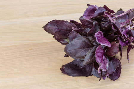Violet basil leaves on the wood backgroundの写真素材