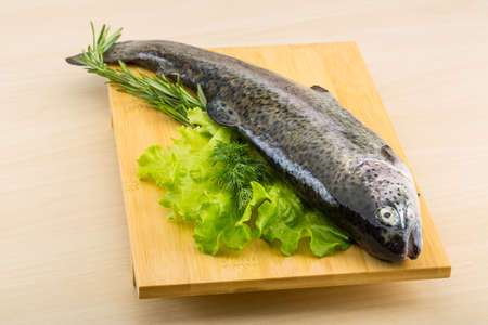 Raw fresh trout on the wood background with herbs
