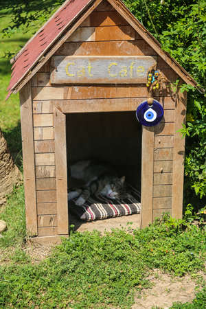 Kemer city view in Antalya Turkeyの写真素材