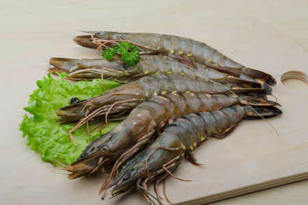 Raw tiger shrimps on the wood boardの写真素材