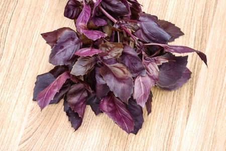 Fresh violet Basil leaves heap on the wood backgroundの写真素材