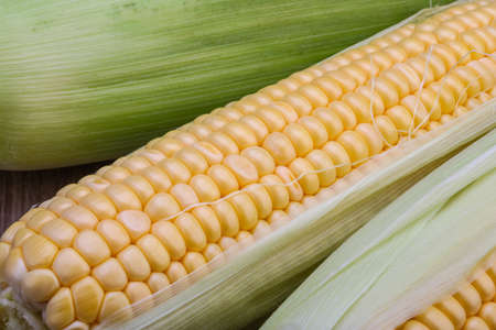 Sweet raw fresh corn on the wood backgroundの写真素材