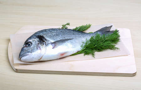 Raw dorado fish with dill, rosemary and thymeの写真素材