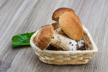 Wild Mushrooms boletus heap on the wood backgroundの写真素材