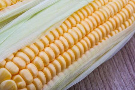 Sweet raw fresh corn on the wood background
