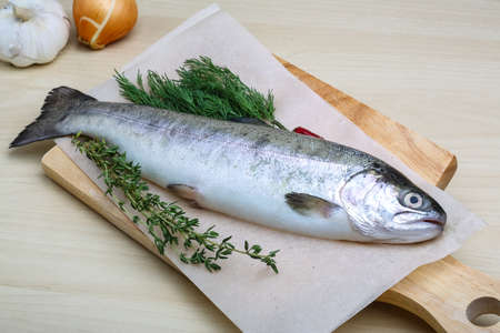 Raw trout with thyme and dill - ready for cookingの写真素材