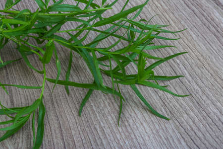 Fresh green Tarragon leaves on the wood backgroundの写真素材