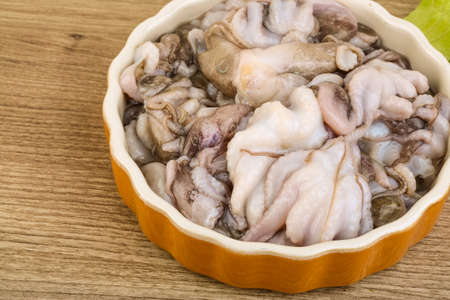 Raw baby octopus in the bowl ready for cookingの写真素材