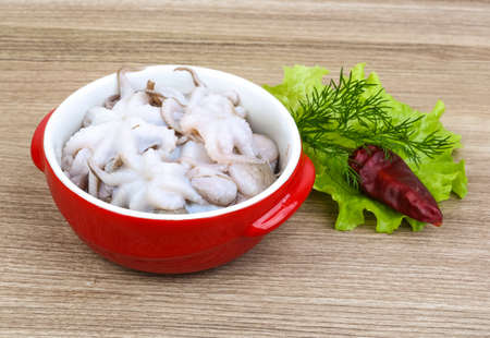Raw baby octopus in the bowl ready for cookingの写真素材