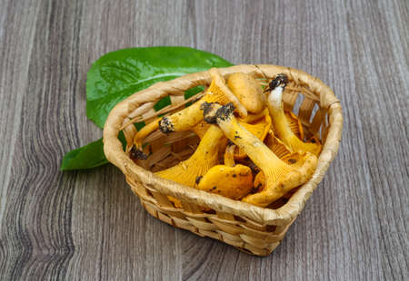 Chanterelle mushroom in the basket on wood backgroundの写真素材