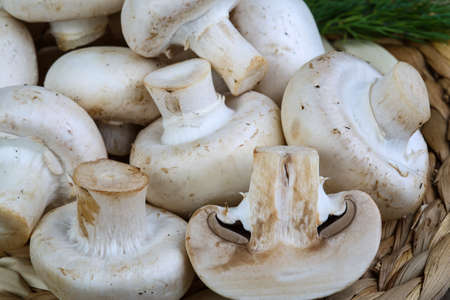 Fresh raw Champignons on the wood background served green dillの写真素材