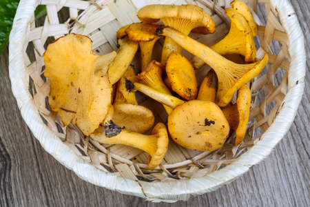 Chanterelle mushroom in the basket on wood backgroundの写真素材