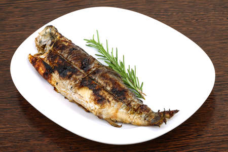 Grilled trout served green rosemary branch on the wood background