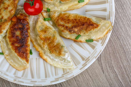 Japanese cousine - Gyoza served green onion and cherry tomato