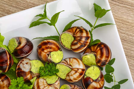 Escargot with parsley butter with salat leaves and mintの写真素材