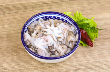 Raw baby octopus in the bowl ready for cookingの写真素材