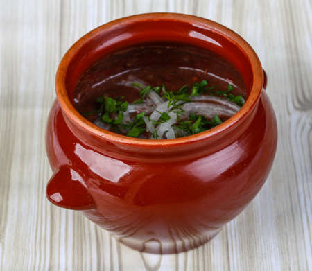 Georgian cuisine - Lobio with onion rings and fresh herbsの写真素材