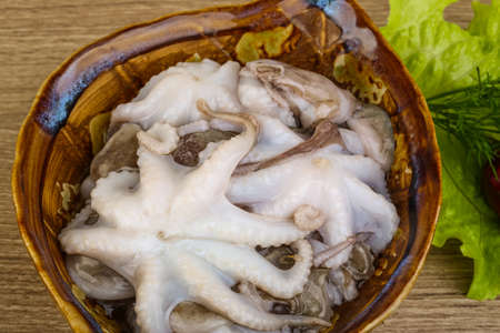 Raw baby octopus in the bowl ready for cookingの写真素材