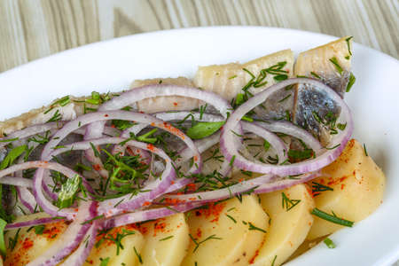 Herring with potato and onion - traditional appetizer snackの写真素材