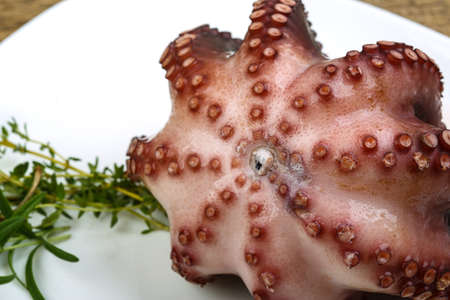 Boiled octopus with herb on the wood backgroundの写真素材