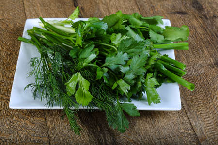 Green herbs snack on the plateの写真素材