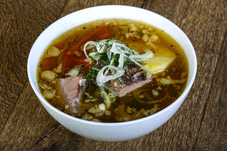 Traditional Uzbek lamb soup with dill and onionの写真素材