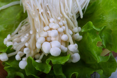 Japanese traditional cuisine - Enoki mushroom on salad leavesの写真素材
