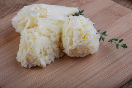Cheese Tete de Moin with thyme branchの写真素材