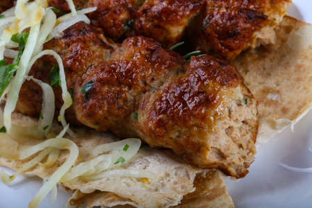 Chicken kebab with onion, parsley and breadの写真素材