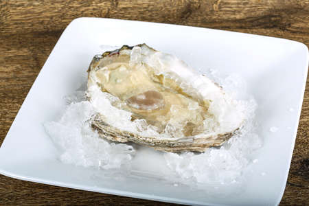 Fresh raw oyster on the ice backgroundの写真素材