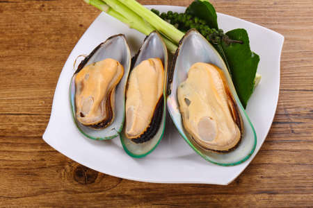 New Zealand Mussels on the plate with garlic