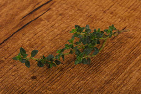 Green Thyme branch on the wood backgroundの写真素材
