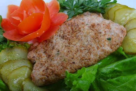 Roasted pork Schnitzel with salad leaves and pickled cucumberの写真素材