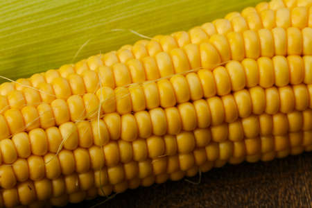 Sweet yound corn on the wood background