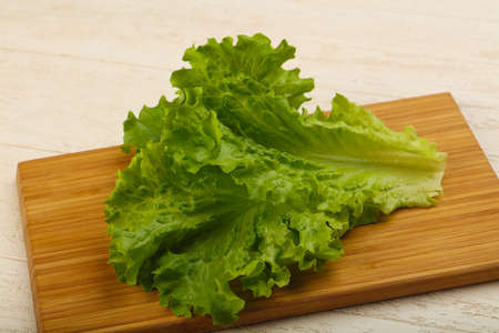 Fresh bright green Salad leaves over wood backgroundの写真素材