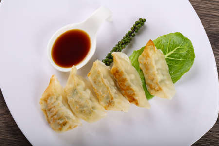 Japan dumplings - Gyoza with shrimp meat and vegetablesの写真素材