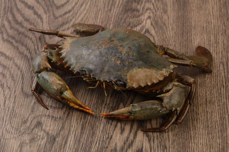 Raw crab over the wooden background ready for cookingの写真素材