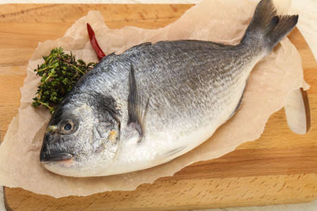 raw dorada fish - ready for cookingの写真素材