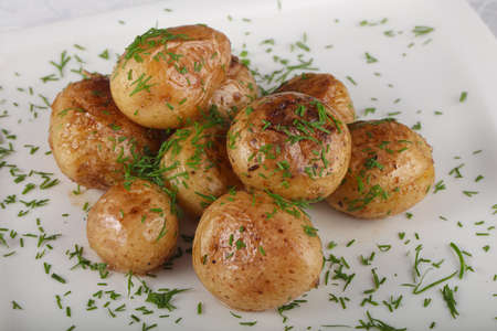 Young baked potato with dillの写真素材