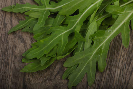 Green fresh Rucola leavesの写真素材