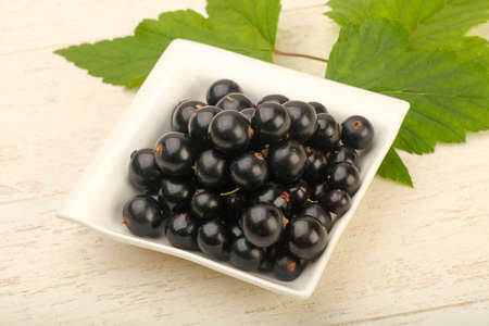 Ripe black currants in the bowl with leafの写真素材