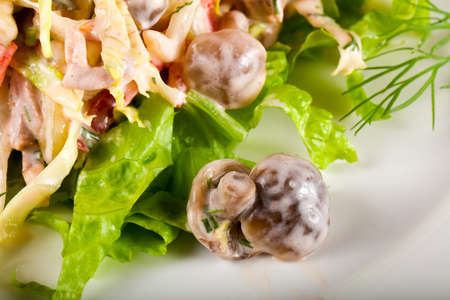 Pickled Mushroom saladの写真素材