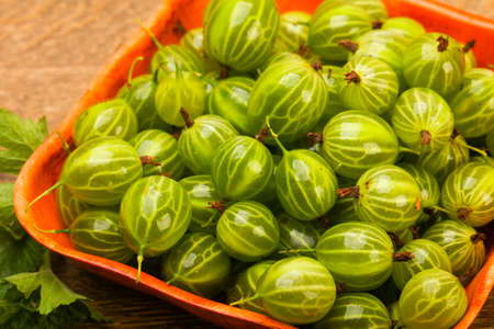 Gooseberries in the bowl with leafの写真素材