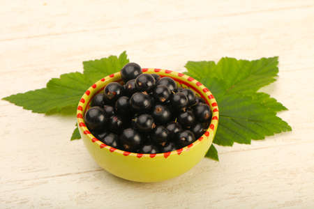 Ripe black currants in the bowl with leafの写真素材