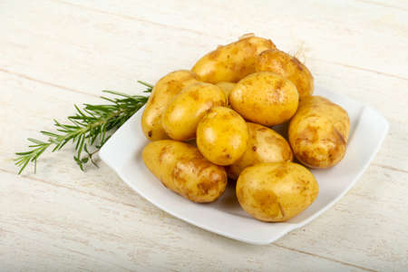 Raw young potato with herbsの写真素材