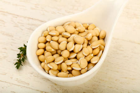 Raw White beans in the bowl over wooden backgroundの写真素材