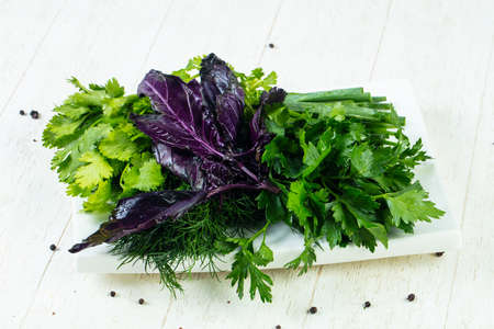 Fresh herbs plate - basil, parsley, coriandes and dillの写真素材
