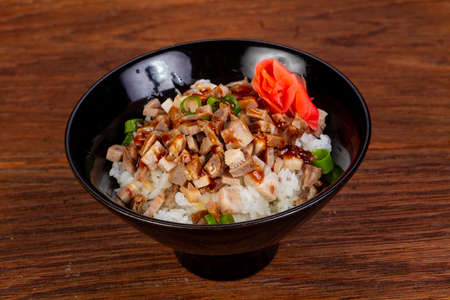 Japanese style Rice with porkの写真素材