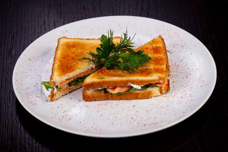 Delicious fried sandwich with salmonの写真素材
