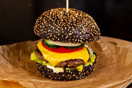 Tasty homemade burger with meat and cheeseの写真素材